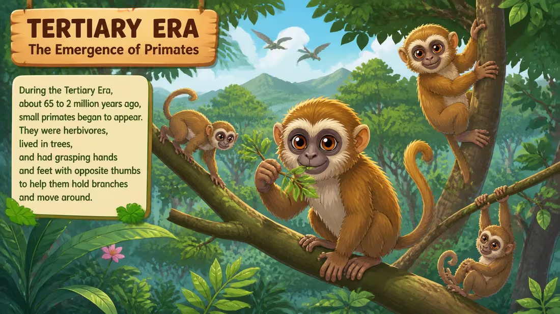 Illustrazione: piccoli primati sugli alberi di una foresta, mentre afferrano rami e foglie con le dita prensili.